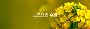 보조요법 수련