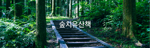 숲치유산책